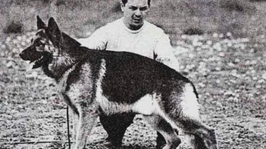 Día Nacional del Perro: por qué se celebra hoy 2 de junio en Argentina